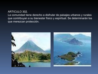 ARTICULO 302. La comunidad tiene derecho a disfrutar de paisajes urbanos y rurales que contribuyan a su bienestar físico y espiritual. Se determinarán los que merezcan protección. 