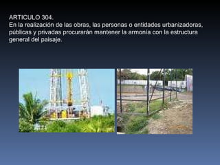 ARTICULO 304. En la realización de las obras, las personas o entidades urbanizadoras, públicas y privadas procurarán mantener la armonía con la estructura general del paisaje. 