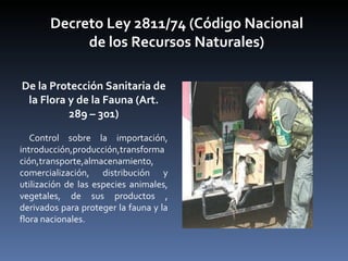 Decreto Ley 2811/74 (Código Nacional de los Recursos Naturales) De la Protección Sanitaria de la Flora y de la Fauna (Art. 289 – 301) Control sobre la importación, introducción,producción,transformación,transporte,almacenamiento, comercialización, distribución y utilización de las especies animales, vegetales, de sus productos , derivados para proteger la fauna y la flora nacionales. 