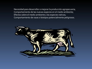 Necesidad para desarrollar o mejorar la producción agropecuaria; Comportamiento de las nuevas especies en el medio ambiente; Efectos sobre el medio ambiente y las especies nativas; Comportamiento de razas o biotipos potencialmente peligrosos. 