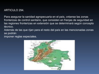ARTICULO 294. Para asegurar la sanidad agropecuaria en el país, créanse las zonas fronterizas de control sanitario, que consisten en franjas de seguridad en las regiones fronterizas en extensión que se determinará según concepto técnico. Además de las que rijan para el resto del país en las mencionadas zonas se podrán imponer reglas especiales. 