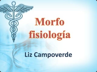 Liz Campoverde
 