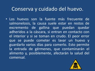 Conserva y cuidado del huevo.
• Los huevos son la fuente más frecuente de
salmonelosis, la causa suele estar en restos de
excremento de gallina que puedan quedar
adheridos a la cáscara, si entran en contacto con
el interior y si se toman en crudo. El peor error
que se puede cometer es lavar un huevo y
guardarlo varios días para comerlo. Esto permite
la entrada de gérmenes, que contaminarán el
alimento y, posiblemente, afectarán la salud del
comensal.
 