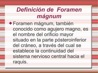 Definición de Foramen
mágnum
Foramen mágnum, también
conocido como agujero magno, es
el nombre del orificio mayor
situado en la parte pósteroinferior
del cráneo, a través del cual se
establece la continuidad del
sistema nervioso central hacia el
raquis.
 