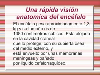 Una rápida visión
anatomica del encéfalo
El encéfalo pesa aproximadamente 1,3
kg y su tamaño es de
1380 centímetros cúbicos. Esta alojado
en la cavidad craneal
que lo protege, con su cubierta ósea,
del medio externo, y
está envuelto por unas membranas
meníngeas y bañado
por liquido cefalorraquídeo.
 