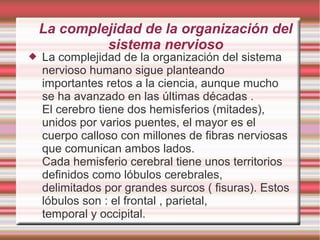 La complejidad de la organización del
sistema nervioso
 La complejidad de la organización del sistema
nervioso humano sigue planteando
importantes retos a la ciencia, aunque mucho
se ha avanzado en las últimas décadas .
El cerebro tiene dos hemisferios (mitades),
unidos por varios puentes, el mayor es el
cuerpo calloso con millones de fibras nerviosas
que comunican ambos lados.
Cada hemisferio cerebral tiene unos territorios
definidos como lóbulos cerebrales,
delimitados por grandes surcos ( fisuras). Estos
lóbulos son : el frontal , parietal,
temporal y occipital.
 
