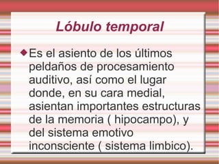 Lóbulo temporal
Es el asiento de los últimos
peldaños de procesamiento
auditivo, así como el lugar
donde, en su cara medial,
asientan importantes estructuras
de la memoria ( hipocampo), y
del sistema emotivo
inconsciente ( sistema limbico).
 
