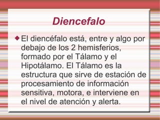 Diencefalo
El diencéfalo está, entre y algo por
debajo de los 2 hemisferios,
formado por el Tálamo y el
Hipotálamo. El Tálamo es la
estructura que sirve de estación de
procesamiento de información
sensitiva, motora, e interviene en
el nivel de atención y alerta.
 