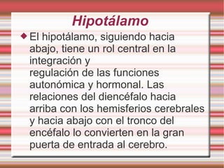 Hipotálamo
 El hipotálamo, siguiendo hacia
abajo, tiene un rol central en la
integración y
regulación de las funciones
autonómica y hormonal. Las
relaciones del diencéfalo hacia
arriba con los hemisferios cerebrales
y hacia abajo con el tronco del
encéfalo lo convierten en la gran
puerta de entrada al cerebro.
 