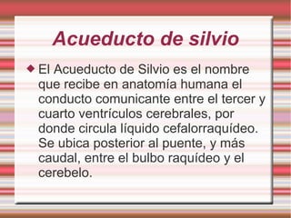 Acueducto de silvio
 El Acueducto de Silvio es el nombre
que recibe en anatomía humana el
conducto comunicante entre el tercer y
cuarto ventrículos cerebrales, por
donde circula líquido cefalorraquídeo.
Se ubica posterior al puente, y más
caudal, entre el bulbo raquídeo y el
cerebelo.
 