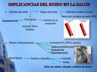  Disturbio del sueño 
 Efectos Cardiovasculares 
 Salud Mental 
Dificultad conciliar el sueño 
Reducción de etapa de sueño REM 
Fisiológicas 
Etapas del sueño 
Incremento PA 
Aumento Ritmo 
Cardíaco 
Cambios en la 
respiración 
Incremento PA y Ritmo cardiaco 
Vasoconstricción 
Isquemia 
Hipertensión 
Acelera e intensifica Ansiedad 
Estrés 
Dolor de cabeza, náuseas, cambios de humor 
 
