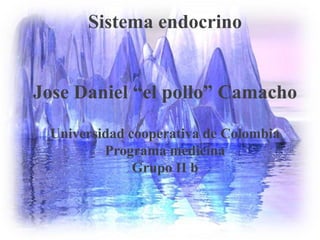 Sistema endocrino
Jose Daniel “el pollo” Camacho
Universidad cooperativa de Colombia
Programa medicina
Grupo II b
 