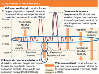 Volumen ventilatorio: es el volumen
de gas inspirado o espirado en cada
ciclo respiratorio, corresponde al aire
corriente, normalmente es de 500 ml.
Volumen de reserva
inspiratoria: Es el volumen
máximo de gas que puede ser
inspirado partiendo de final de
una inspiración normal aprox.
2000 ml.
Volumen de reserva espiratoria: Es
el máximo volumen de gas que puede
todavía ser expulsado con una
espiración forzada, después de una
espiración normal (1500-2000 ml)
Volumen residual : es el volumen de
gas que puede en el pulmón al final de
la respiración máxima o forzada (1200
a1500)
 