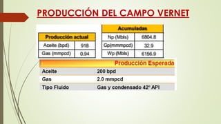 PRODUCCIÓN DEL CAMPO VERNET
 