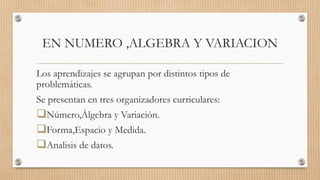 EN NUMERO ,ALGEBRA Y VARIACION
Los aprendizajes se agrupan por distintos tipos de
problemáticas.
Se presentan en tres organizadores curriculares:
Número,Álgebra y Variación.
Forma,Espacio y Medida.
Analisis de datos.
 