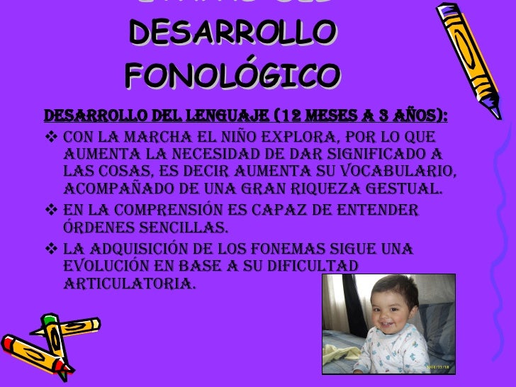 Exposiciones De Lenguaje