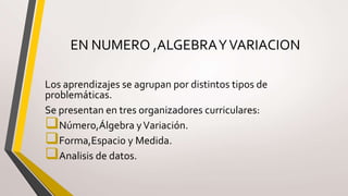 EN NUMERO ,ALGEBRAYVARIACION
Los aprendizajes se agrupan por distintos tipos de
problemáticas.
Se presentan en tres organizadores curriculares:
Número,Álgebra yVariación.
Forma,Espacio y Medida.
Analisis de datos.
 