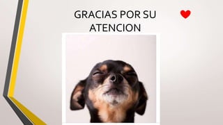 GRACIAS POR SU
ATENCION
 