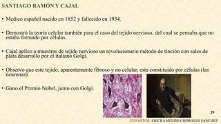 SANTIAGO RAMÓN Y CAJAL
• Medico español nacido en 1852 y fallecido en 1934.
• Demostró la teoría celular también para el caso del tejido nervioso, del cual se pensaba que no
estaba formado por células.
• Cajal aplico a muestras de tejido nervioso un revolucionario método de tinción con sales de
plata desarrollo por el italiano Golgi.
• Observo que este tejido, aparentemente fibroso y no celular, esta constituido por células (las
neuronas).
• Gano el Premio Nobel, junto con Golgi.
. EXPOSITOR: ERICKA MELISSA MORALES SANCHEZ
29
 