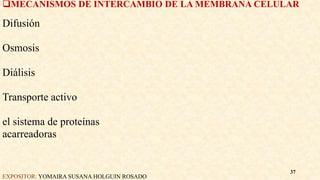 MECANISMOS DE INTERCAMBIO DE LA MEMBRANA CELULAR
Difusión
Osmosis
Diálisis
Transporte activo
el sistema de proteínas
acarreadoras
EXPOSITOR: YOMAIRA SUSANA HOLGUIN ROSADO
37
 