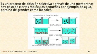 Es un proceso de difusión selectiva a través de una membrana;
hay paso de ciertas moléculas pequeñas por ejemplo de agua,
pero no de grandes como las sales.
EXPOSITOR: YOMAIRA SUSANA HOLGUIN ROSADO 43
 