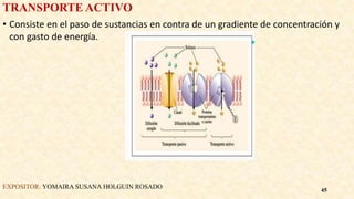 TRANSPORTE ACTIVO
• Consiste en el paso de sustancias en contra de un gradiente de concentración y
con gasto de energía.
EXPOSITOR: YOMAIRA SUSANA HOLGUIN ROSADO 45
 