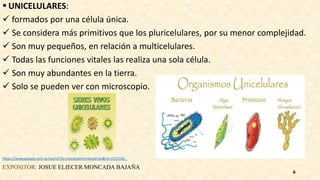  UNICELULARES:
 formados por una célula única.
 Se considera más primitivos que los pluricelulares, por su menor complejidad.
 Son muy pequeños, en relación a multicelulares.
 Todas las funciones vitales las realiza una sola célula.
 Son muy abundantes en la tierra.
 Solo se pueden ver con microscopio.
https://www.google.com.ec/search?q=unicelulares+bacterias&rlz=1C1CHZL_
EXPOSITOR: JOSUE ELIECER MONCADA BAJAÑA
6
 