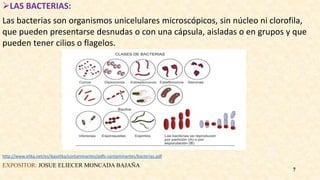LAS BACTERIAS:
Las bacterias son organismos unicelulares microscópicos, sin núcleo ni clorofila,
que pueden presentarse desnudas o con una cápsula, aisladas o en grupos y que
pueden tener cilios o flagelos.
http://www.elika.net/es/ikaselika/contaminantes/pdfs-contaminantes/bacterias.pdf
EXPOSITOR: JOSUE ELIECER MONCADA BAJAÑA
7
 