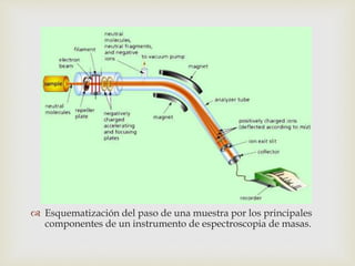 
 Esquematización del paso de una muestra por los principales
componentes de un instrumento de espectroscopia de masas.
 