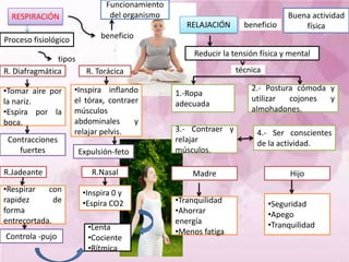 Reducir la tensión física y mental
Proceso fisiológico
RELAJACIÓN
RESPIRACIÓN
tipos
R. Diafragmática R. Torácica
•Tomar aire por
la nariz.
•Espira por la
boca.
R.Jadeante
Expulsión-feto
•Respirar con
rapidez de
forma
entrecortada.
•Inspira inflando
el tórax, contraer
músculos
abdominales y
relajar pelvis.
Controla -pujo
Contracciones
fuertes
3.- Contraer y
relajar
músculos.
2.- Postura cómoda y
utilizar cojones y
almohadones.
1.-Ropa
adecuada
técnica
•Lenta
•Cociente
•Rítmica
•Inspira 0 y
•Espira CO2
R.Nasal
4.- Ser conscientes
de la actividad.
Madre Hijo
•Tranquilidad
•Ahorrar
energía
•Menos fatiga
•Seguridad
•Apego
•Tranquilidad
Buena actividad
físicabeneficio
Funcionamiento
del organismo
beneficio
 