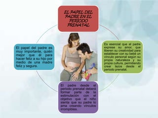EL PAPEL DEL
PADRE EN EL
PERÍODO
PRENATAL
Es esencial que el padre
exprese su amor, que
liberen su creatividad para
establecer con su bebé un
vínculo personal según su
propia naturaleza y su
propia cultura, permitiendo
crear lazos desde el
periodo prenatal.
El padre desde el
periodo prenatal deberá
formar parte de la
estimulación con el
objetivo que el niño
sienta que su padre lo
ama creando vínculos
irrompibles.
El papel del padre es
muy importante, quién
mejor que él para
hacer feliz a su hijo por
medio de una madre
feliz y segura.
 