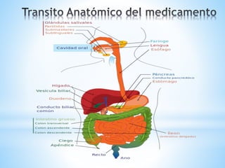 Formas Farmacéuticas Orales Liquidas