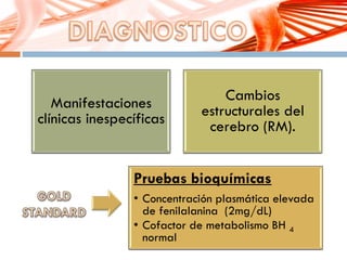 s
Manifestaciones
clínicas inespecíficas
Cambios
estructurales del
cerebro (RM).
Pruebas bioquímicas
• Concentración plasmática elevada
de fenilalanina (2mg/dL)
• Cofactor de metabolismo BH 4
normal
 