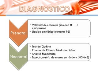 Prenatal
• Vellosidades coriales (semana 8 – 11
embarazo)
• Liquido amniótico (semana 16)
Neonatal
• Test de Guthrie
• Prueba de Cloruro Férrico en tubo
• Análisis fluométrico
• Espectrometría de masas en tándem (MS/MS)
 