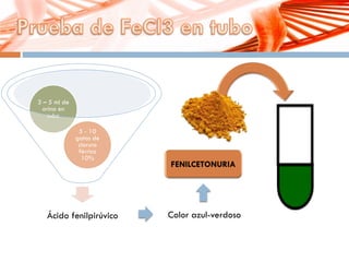 Color azul-verdosoÁcido fenilpirúvico
5 - 10
gotas de
cloruro
férrico
10%
3 – 5 ml de
orina en
tubo
 