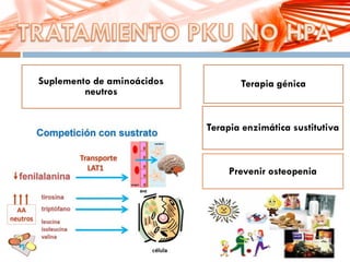 Suplemento de aminoácidos
neutros
Terapia génica
Terapia enzimática sustitutiva
Prevenir osteopenia
 