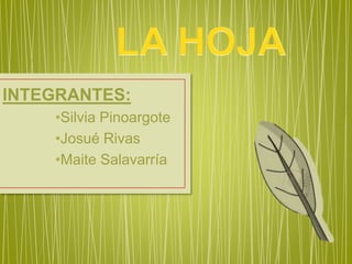 INTEGRANTES:
•Silvia Pinoargote
•Josué Rivas
•Maite Salavarría
 