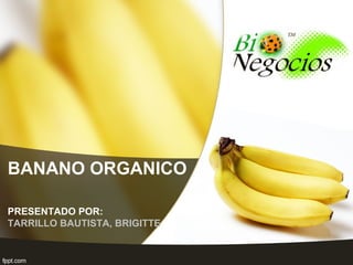 BANANO ORGANICO
PRESENTADO POR:
TARRILLO BAUTISTA, BRIGITTE
 