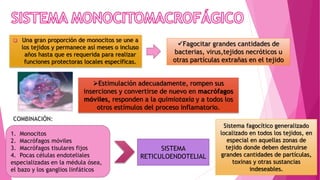 Una gran proporción de monocitos se une a
los tejidos y permanece así meses o incluso
años hasta que es requerida para realizar
funciones protectoras locales específicas.
Fagocitar grandes cantidades de
bacterias, virus,tejidos necróticos u
otras partículas extrañas en el tejido
Estimulación adecuadamente, rompen sus
inserciones y convertirse de nuevo en macrófagos
móviles, responden a la quimiotaxia y a todos los
otros estímulos del proceso inflamatorio.
1. Monocitos
2. Macrófagos móviles
3. Macrófagos tisulares fijos
4. Pocas células endoteliales
especializadas en la médula ósea,
el bazo y los ganglios linfáticos
COMBINACIÓN:
SISTEMA
RETICULOENDOTELIAL
Sistema fagocítico generalizado
localizado en todos los tejidos, en
especial en aquellas zonas de
tejido donde deben destruirse
grandes cantidades de partículas,
toxinas y otras sustancias
indeseables.
 