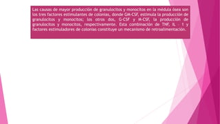 Las causas de mayor producción de granulocitos y monocitos en la médula ósea son
los tres factores estimulantes de colonias, donde GM-CSF, estimula la producción de
granulocitos y monocitos; los otros dos, G-CSF y M-CSF, la producción de
granulocitos y monocitos, respectivamente. Esta combinación de TNF, IL – 1 y
factores estimuladores de colonias constituye un mecanismo de retroalimentación.
 