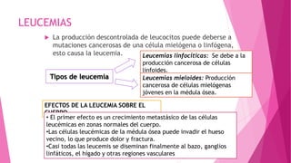 LEUCEMIAS
 La producción descontrolada de leucocitos puede deberse a
mutaciones cancerosas de una célula mielógena o linfógena,
esto causa la leucemia.
Tipos de leucemia
Leucemias linfocíticas: Se debe a la
producción cancerosa de células
linfoides.
Leucemias mieloides: Producción
cancerosa de células mielógenas
jóvenes en la médula ósea.
EFECTOS DE LA LEUCEMIA SOBRE EL
CUERPO
• El primer efecto es un crecimiento metastásico de las células
leucémicas en zonas normales del cuerpo.
•Las células leucémicas de la médula ósea puede invadir el hueso
vecino, lo que produce dolor y fractura.
•Casi todas las leucemis se diseminan finalmente al bazo, ganglios
linfáticos, el hígado y otras regiones vasculares
 