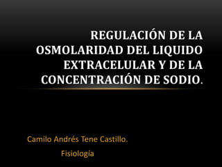 REGULACIÓN DE LA
  OSMOLARIDAD DEL LIQUIDO
      EXTRACELULAR Y DE LA
   CONCENTRACIÓN DE SODIO.



Camilo Andrés Tene Castillo.
         Fisiología
 