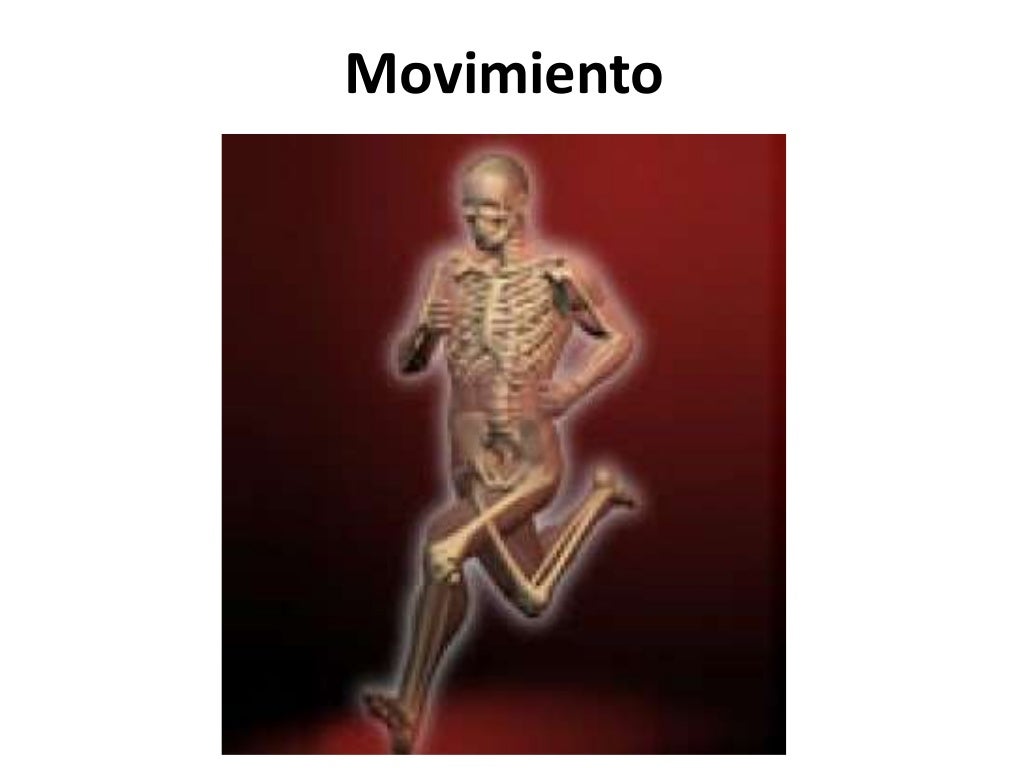 fisiología del sistema oseo
