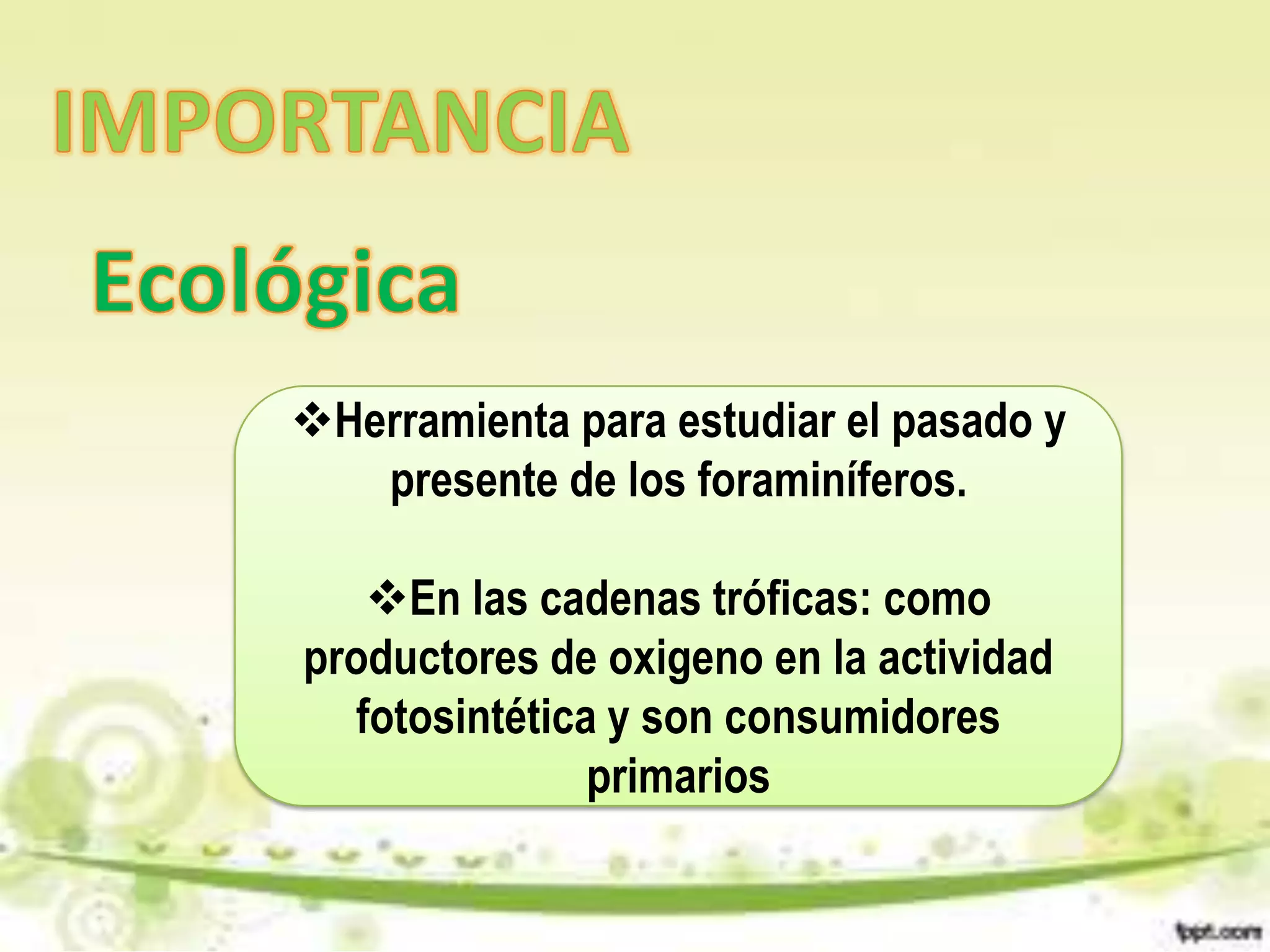 Herramienta para estudiar el pasado y
   presente de los foraminíferos.

   En las cadenas tróficas: como
productores de oxigeno en la actividad
  fotosintética y son consumidores
               primarios
 