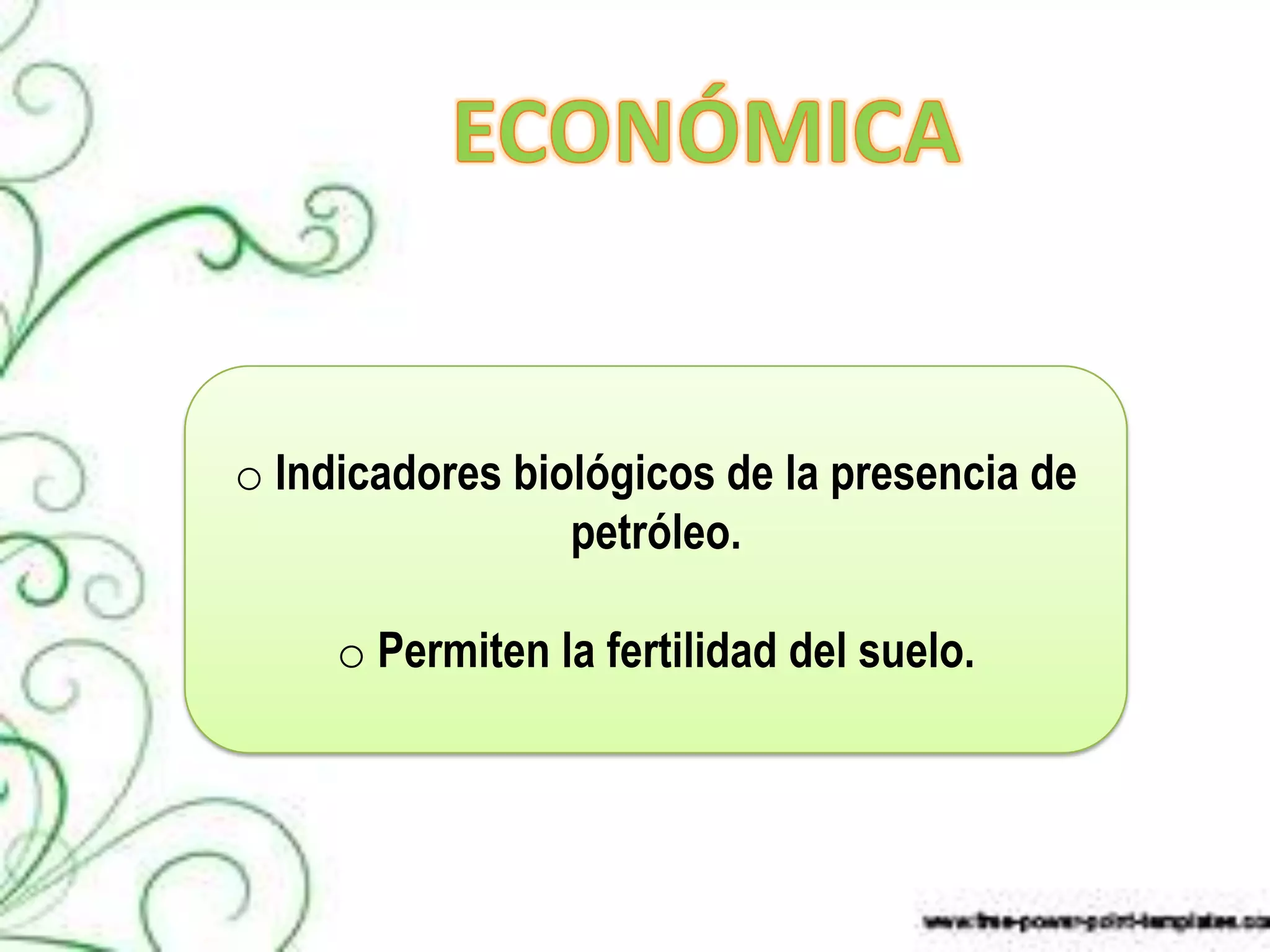 o Indicadores biológicos de la presencia de
                 petróleo.

     o Permiten la fertilidad del suelo.
 