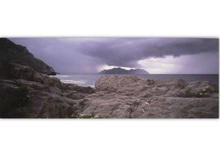 Exposicion Fotografia