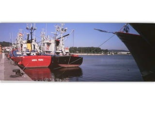 Exposicion Fotografia