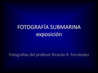 FOTOGRAFÍA SUBMARINA
exposición
Fotografías del profesor Ricardo R. Fernández
 