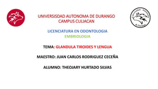 UNIVERSISDAD AUTONOMA DE DURANGO
CAMPUS CULIACAN
LICENCIATURA EN ODONTOLOGIA
EMBRIOLOGIA
TEMA: GLANDULA TIROIDES Y LENGUA
MAESTRO: JUAN CARLOS RODRIGUEZ CECEÑA
ALUMNO: THEOJARY HURTADO SILVAS
 
