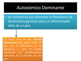 Autosómico Dominante
• Se caracteriza por presentar el fenómeno de
  dominancia genética para un determinado
  alelo de un gen.


Es cada una de las formas
alternativas que puede tener un
gen que se diferencian en su
secuencia y que se puede
manifestar en modificaciones
concretas de la función de ese
gen.
 